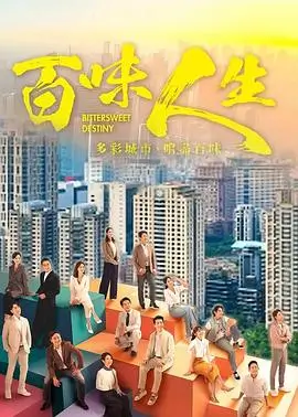 雾港追凶电视剧在线看海报
